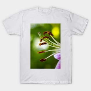 Close-up of Garden Lily 13 T-Shirt